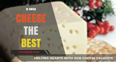 Swiss Cheese: The Best?