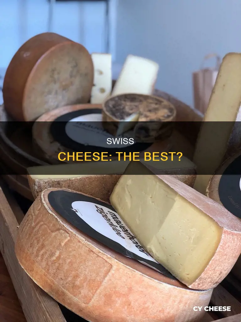 is swiss cheese the best