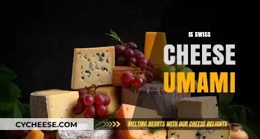 Swiss Cheese: Unlocking the Umami Mystery
