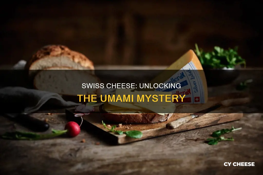is swiss cheese umami