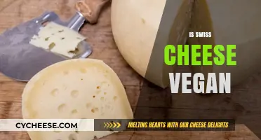 Swiss Cheese: Vegan or Not?