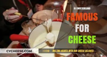 Switzerland's Cheese Legacy: Unraveling the Fame Behind Its Iconic Dairy Delight