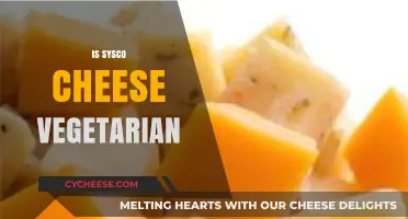Is Sysco Cheese Vegetarian? A Comprehensive Guide for Veggie Lovers