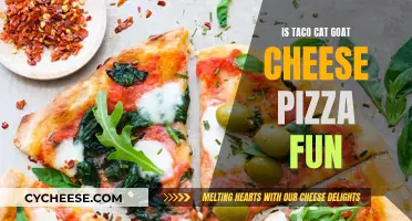 Taco Cat Goat Cheese Pizza: A Fun Culinary Adventure