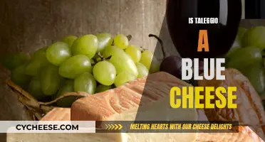 Taleggio: A Unique Italian Blue Cheese?