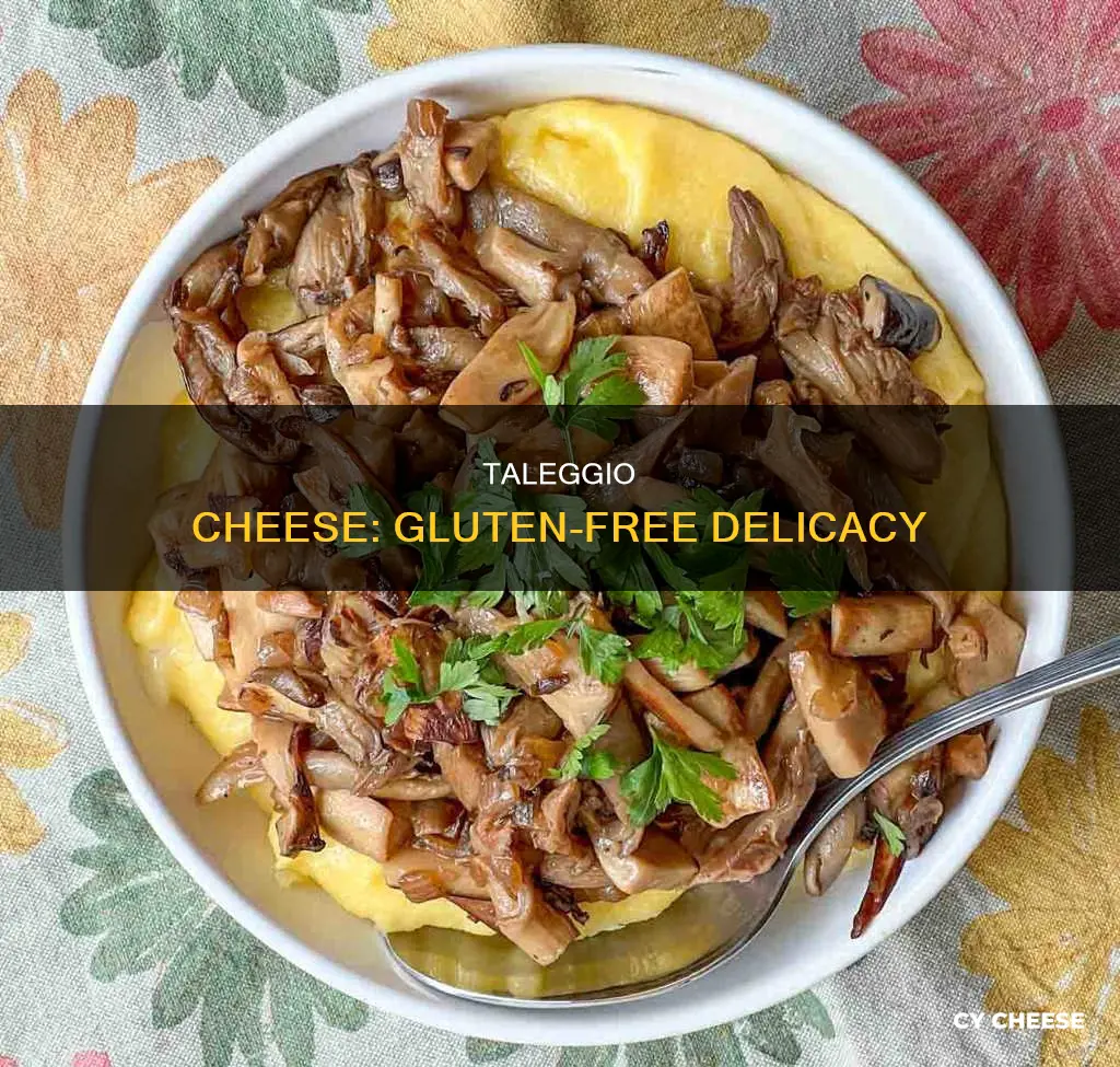 is taleggio cheese gluten free