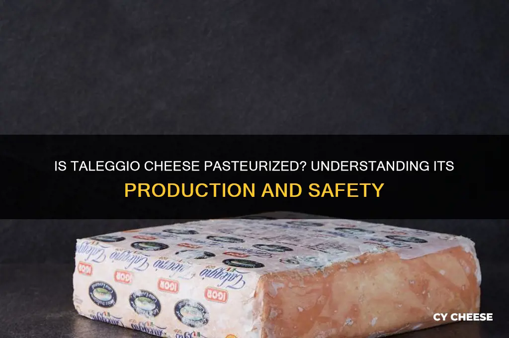 is taleggio cheese pasteurized
