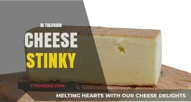 Is Taleggio Cheese Stinky? Exploring Its Aroma and Flavor Profile