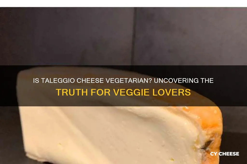 is taleggio cheese vegetarian
