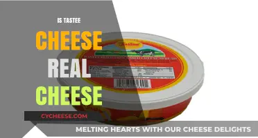 Is Tastee Cheese Real Cheese? Uncovering the Truth Behind the Label