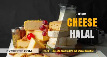 Is Tasty Cheese Halal? Exploring Ingredients and Certification