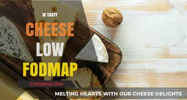 Is Tasty Cheese Low FODMAP? A Digestive-Friendly Guide