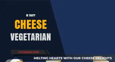 Is Tasty Cheese Vegetarian? Unraveling the Dairy Dilemma for Veggies