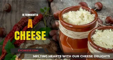 Is Terracotta a Cheese? Unraveling the Culinary Confusion