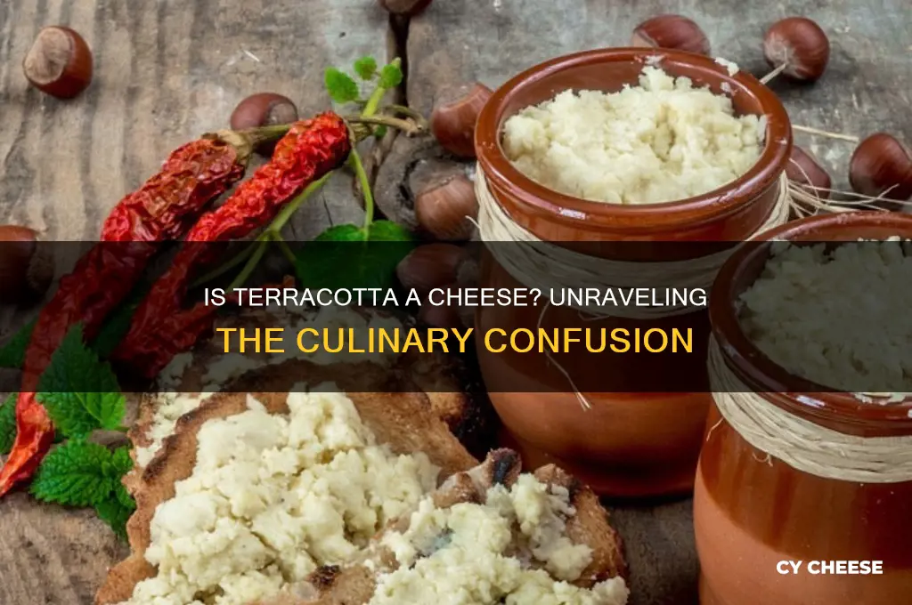 is terracotta a cheese