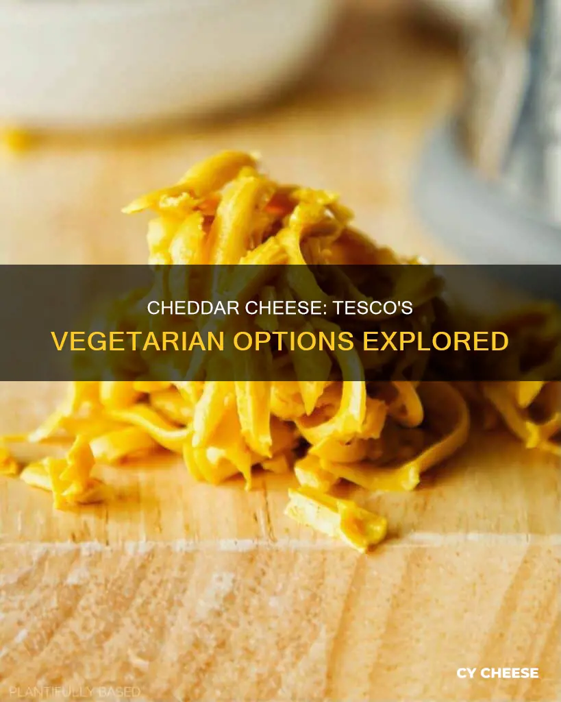 is tesco cheddar cheese vegetarian
