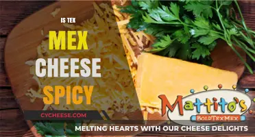 Is Tex Mex Cheese Spicy? Unraveling the Flavor Mystery