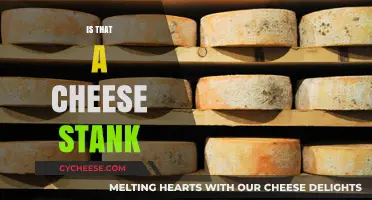 Is That a Cheese Stank? Unraveling the Mystery of Funky Aromas