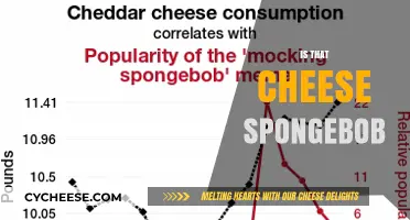 Is That Cheese, SpongeBob? Unraveling the Mystery Behind the Meme