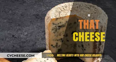 Is That Cheese? Unraveling the Mystery of Dairy Delights