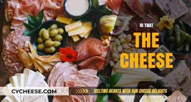 Is That the Cheese? Unraveling the Mystery of Cheese Identification