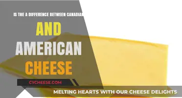 Canadian vs. American Cheese: Uncovering the Tasty Differences