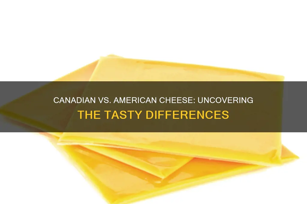 is the a difference between canadian and american cheese