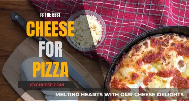 The Ultimate Guide to the Best Cheese for Pizza