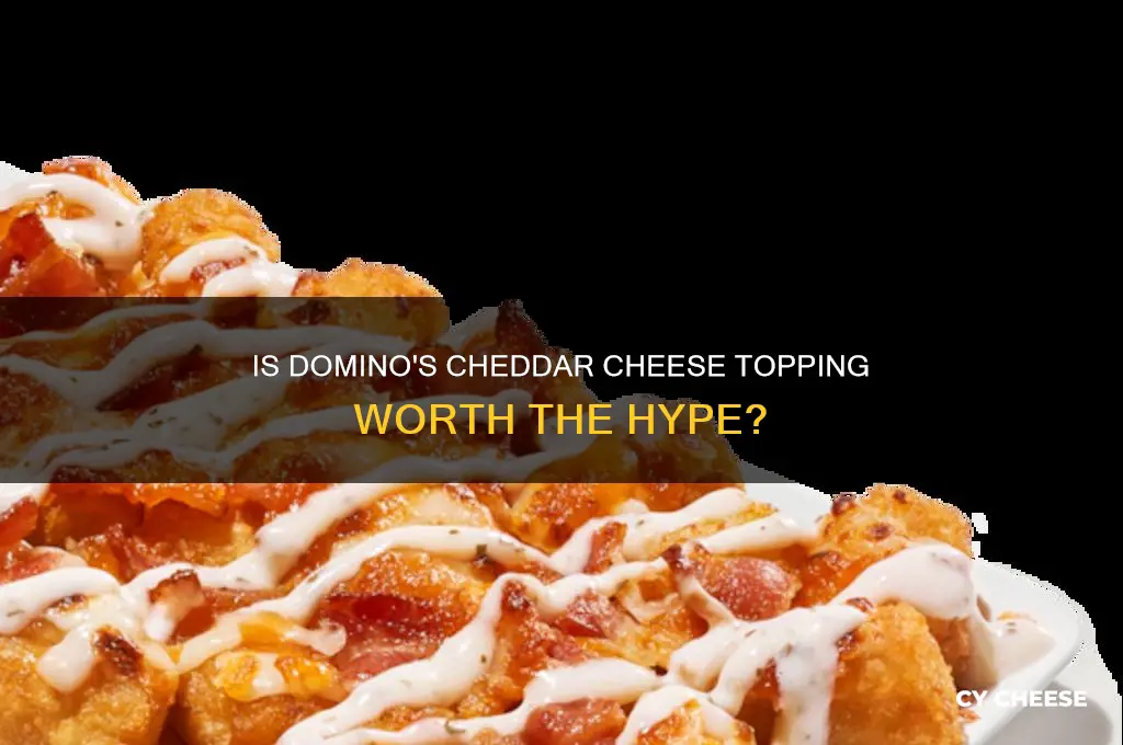 is the cheddar cheese topping good in dominos
