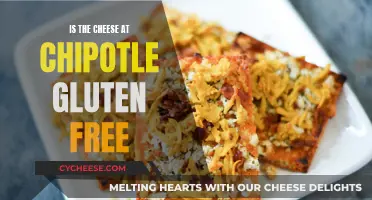 Chipotle's Cheese: Gluten-Free or Not?
