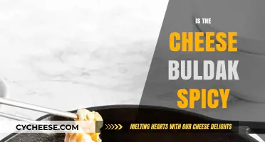 Is Cheese Buldak Spicy? Exploring the Heat Level of This Korean Dish