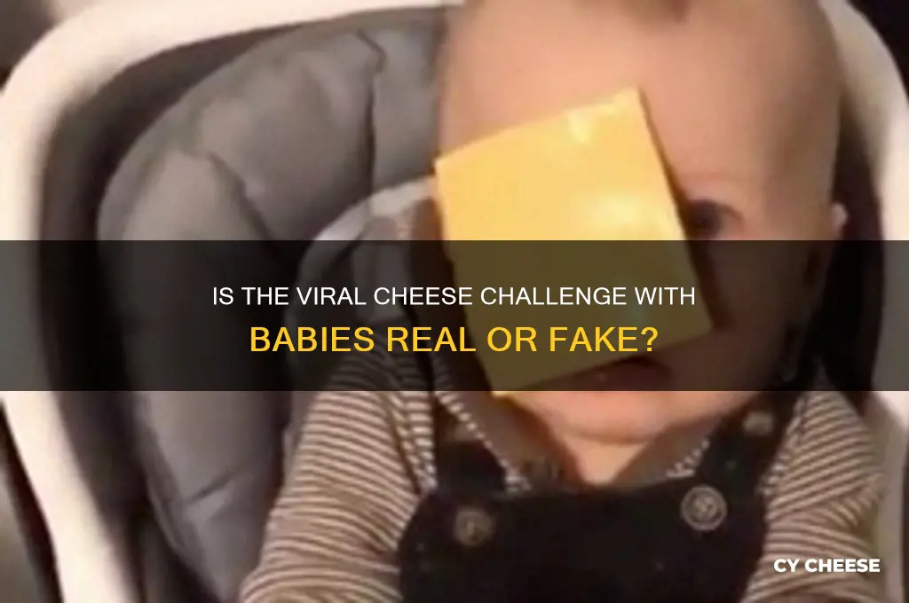 is the cheese challenge with the baby for real