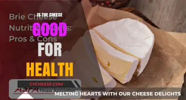 Cheese and Health: Benefits, Risks, and Nutritional Value Explained