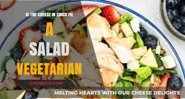 Is Chick-fil-A's Salad Cheese Vegetarian? A Detailed Look