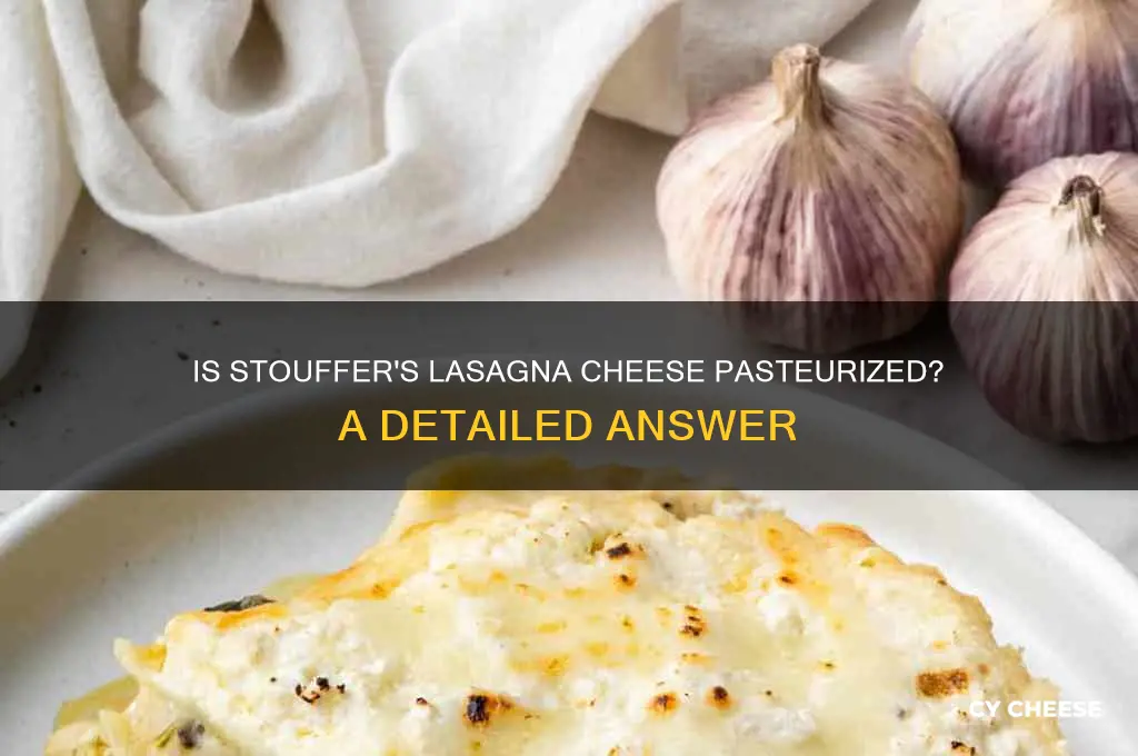 is the cheese in stouffer