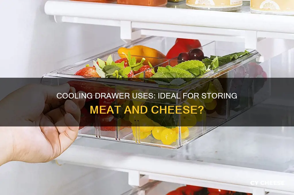 is the cooling drawer in fridge for meat and cheese