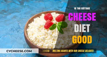 Is the Cottage Cheese Diet Healthy? Benefits and Risks Explained