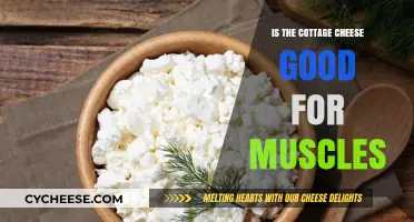 Cottage Cheese and Muscle Growth: Unlocking Protein Power for Fitness