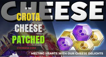 Is Crota's Cheese Patched? Latest Updates and Fixes Explained