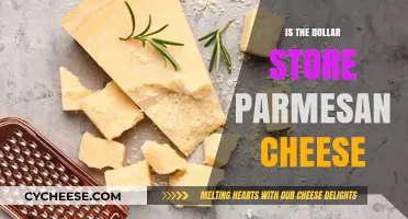Dollar Store Parmesan: Worth the Money?