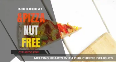 Nut-Free Pizza: Is Egan Cheese the Answer?