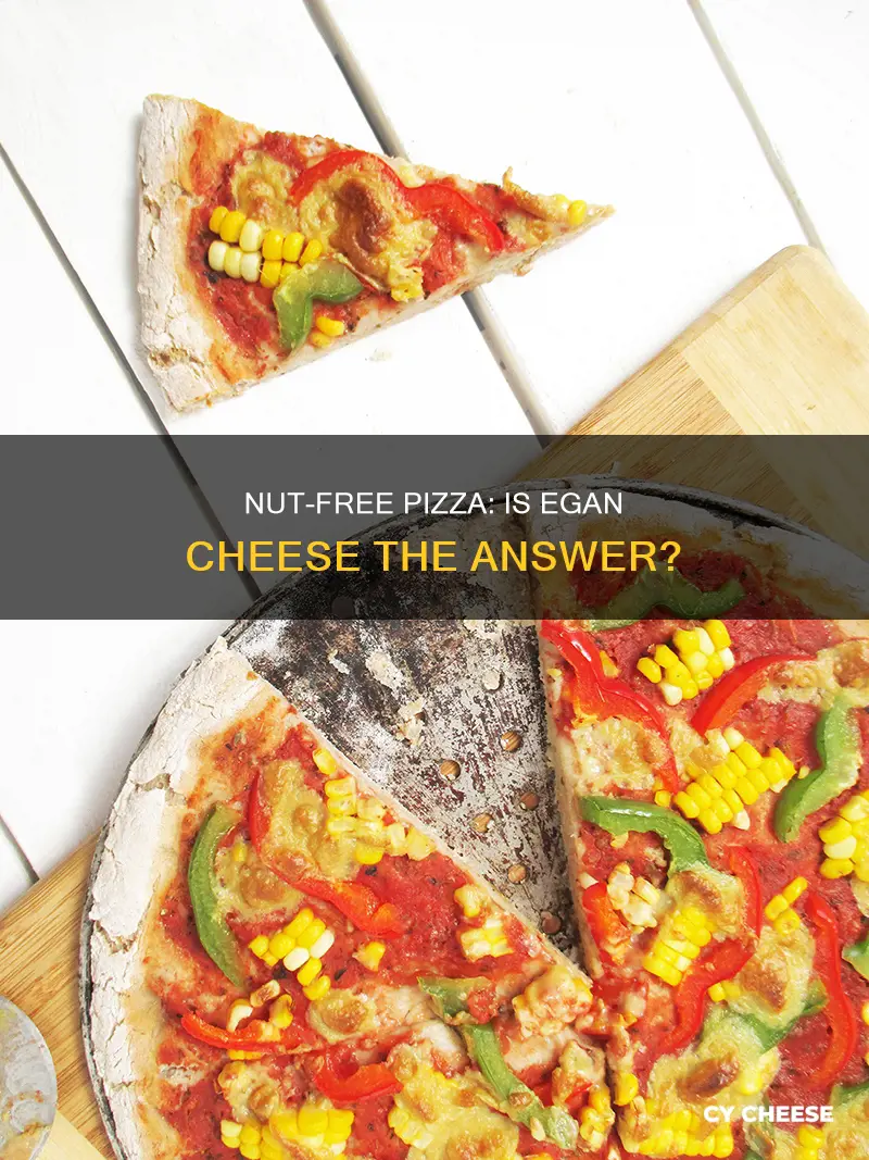 is the egan cheese at &pizza nut free