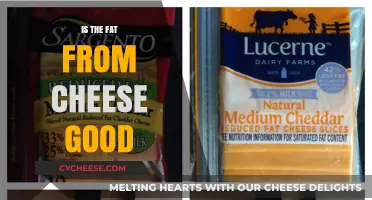 Is Cheese Fat Healthy? Uncovering the Truth About Dairy Fats