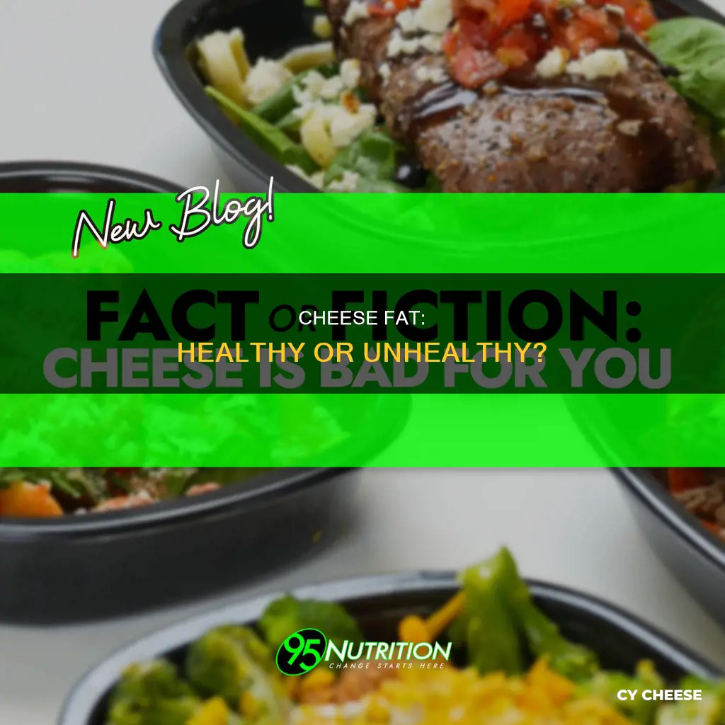 is the fat in cheese healthy