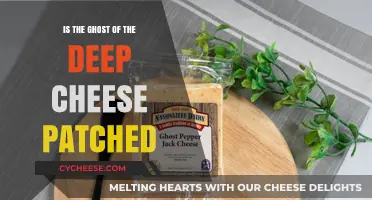 Is the Ghost of the Deep Cheese Patched: Unraveling the Mystery