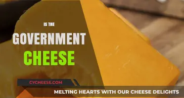 Is Government Cheese Real? Uncovering the Truth Behind the Myth