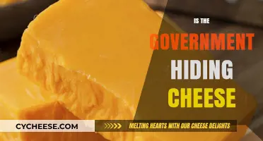 Government Cheese Conspiracy: Uncovering the Truth Behind the Rumors