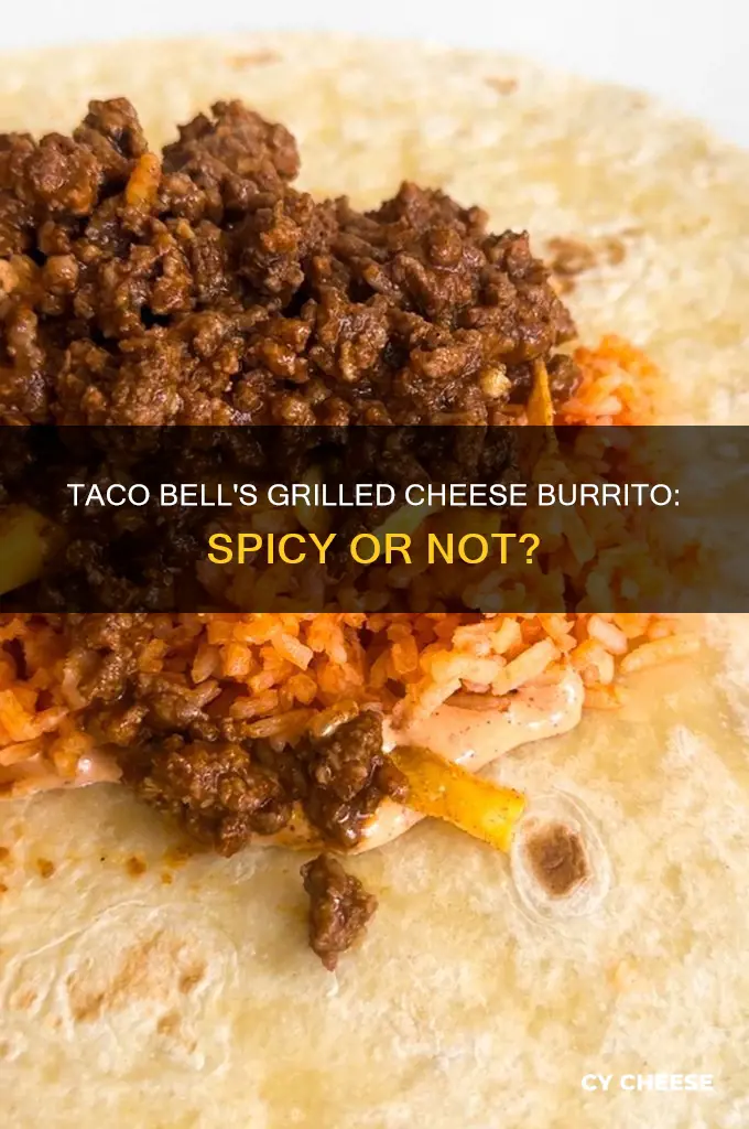 is the grilled cheese burrito at taco bell spicy