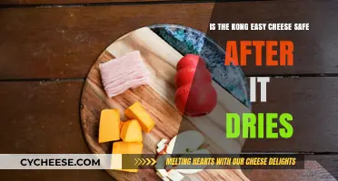 Is Dried Kong Easy Cheese Safe for Dogs? Expert Insights