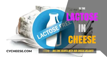 Is Cheese Lactose-Friendly? Uncovering the Truth About Lactose in Cheese